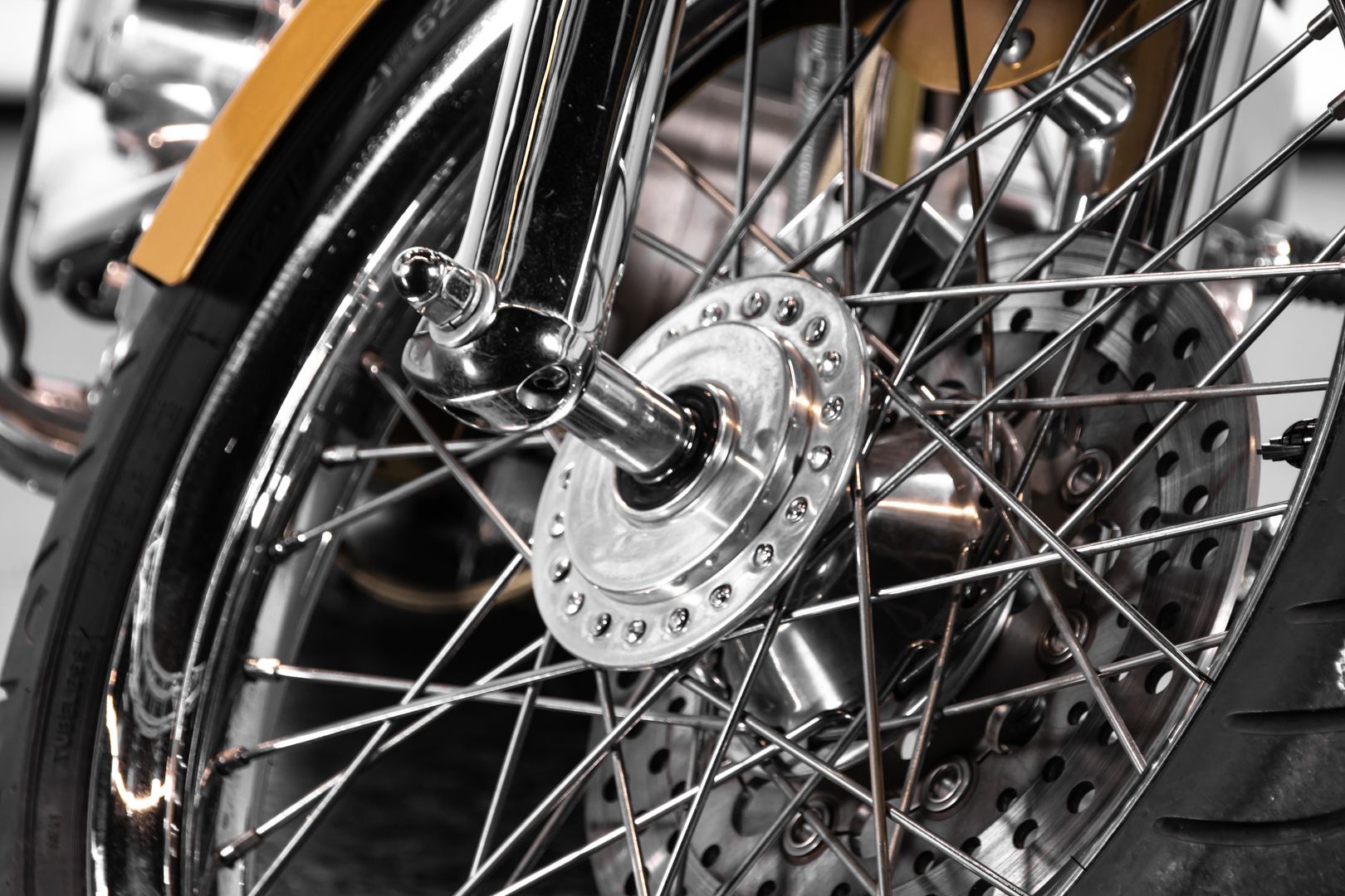 Mph Special The Champ 01 