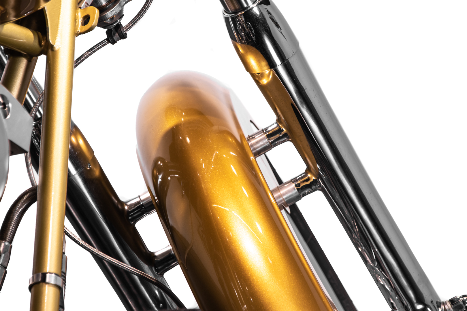 Mph Special The Champ 01 
