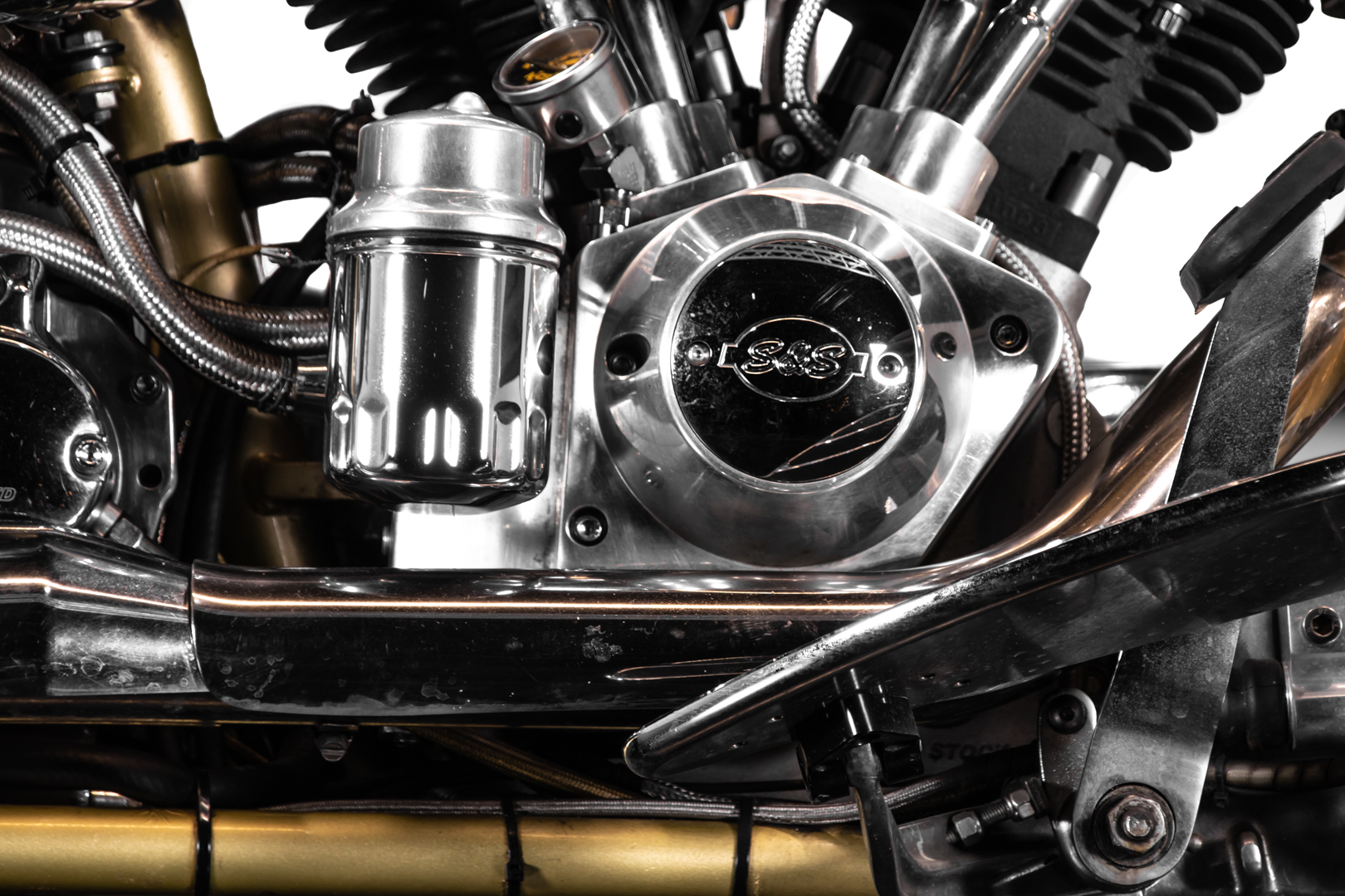 Mph Special The Champ 01 
