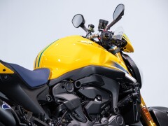 Ducati MONSTER SENNA 