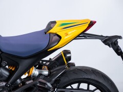 Ducati MONSTER SENNA 